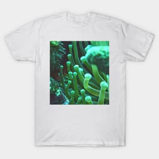 Green Sea Anemone Macro T-Shirt